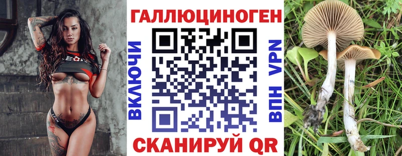 Купить  Тотьма  Псилоцибиновые грибы ЛСД 
