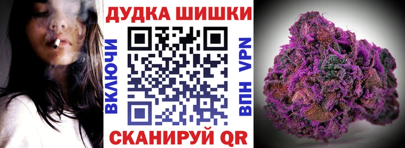 Бошки Шишки гибрид  Купить  Тотьма 